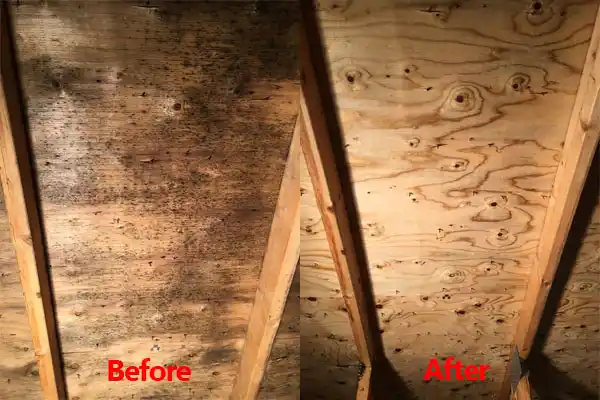 water damage restoration service Sauk Centre